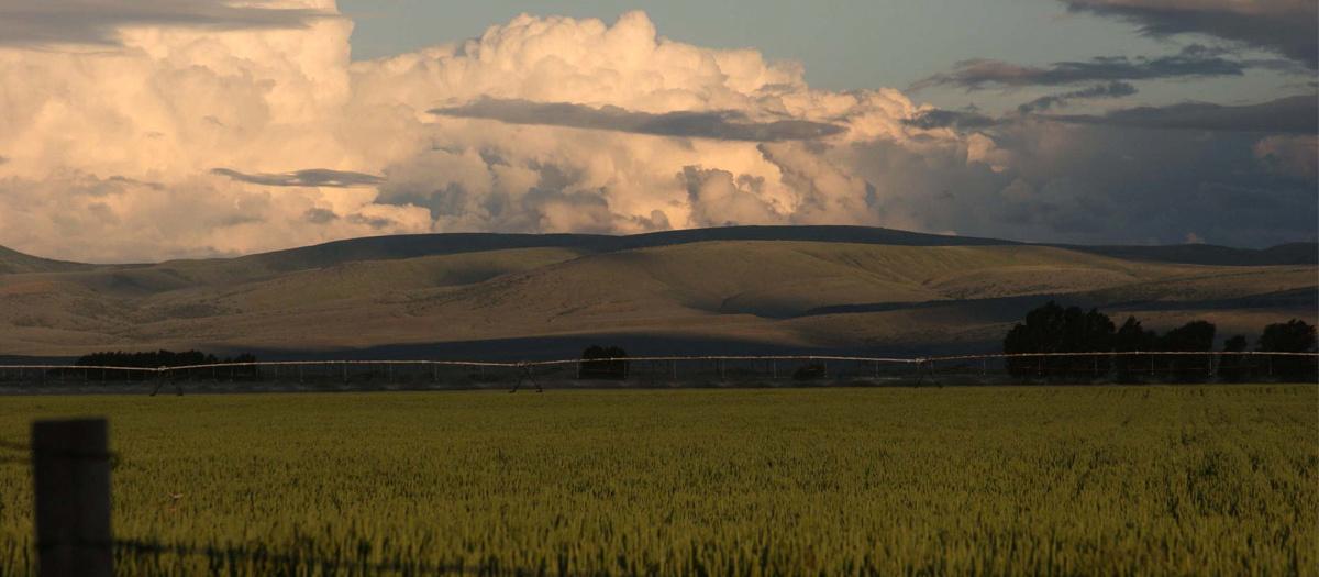 Clouds cast shadows on a field.